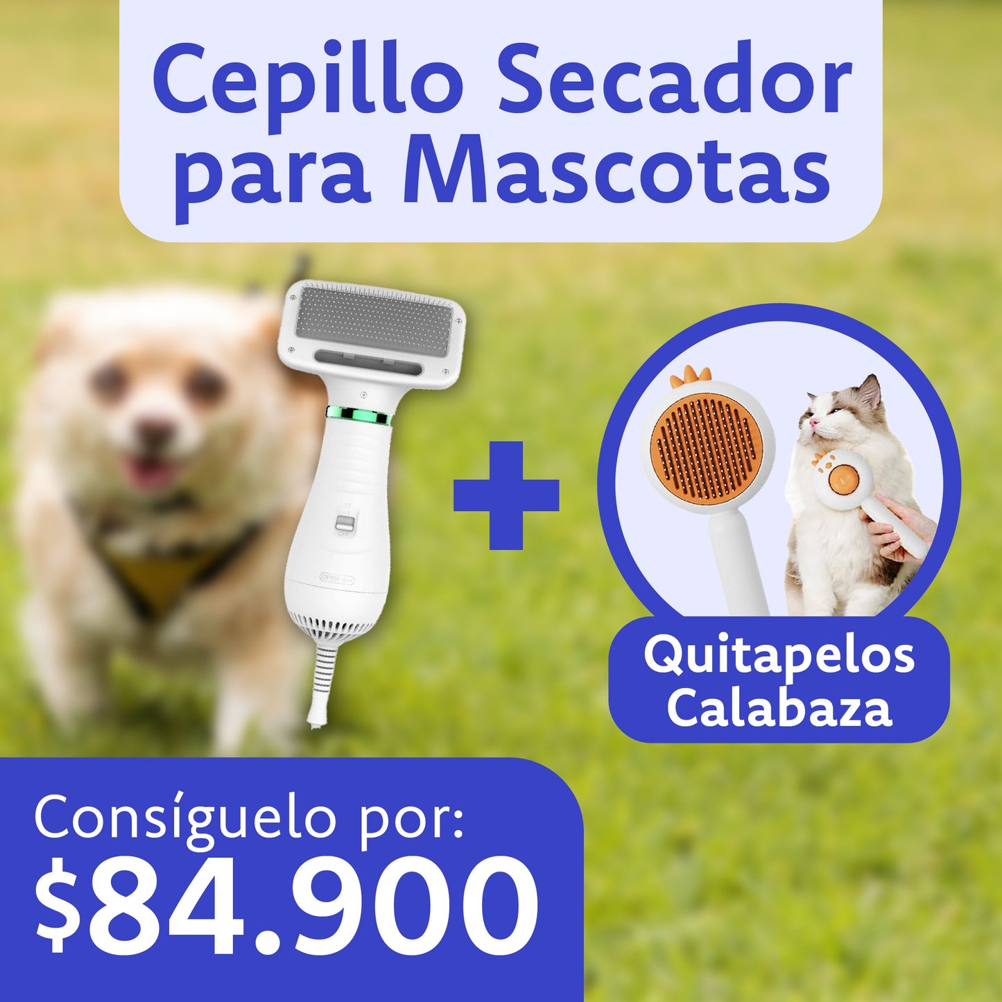 Cepillo Mascotas + Quitapelos Calabaza